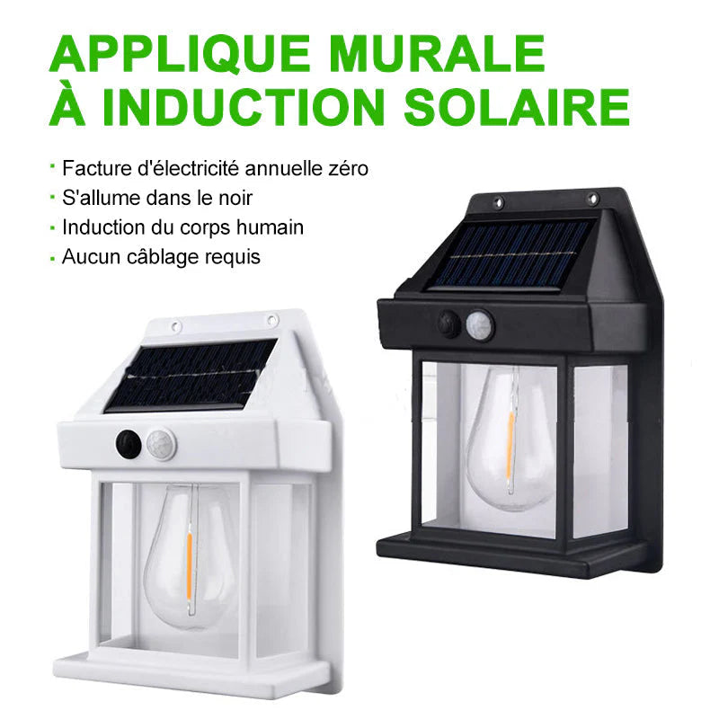 EcoLumen - Lampe Solaire d'Extérieur