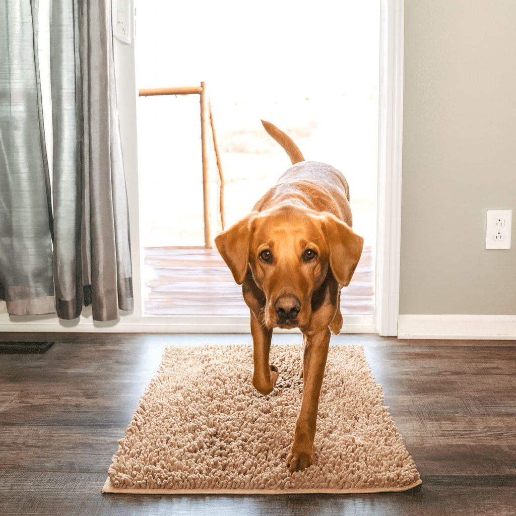 Tapis ultra absorbant - pattes d'animaux