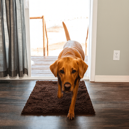 Tapis ultra absorbant - pattes d'animaux