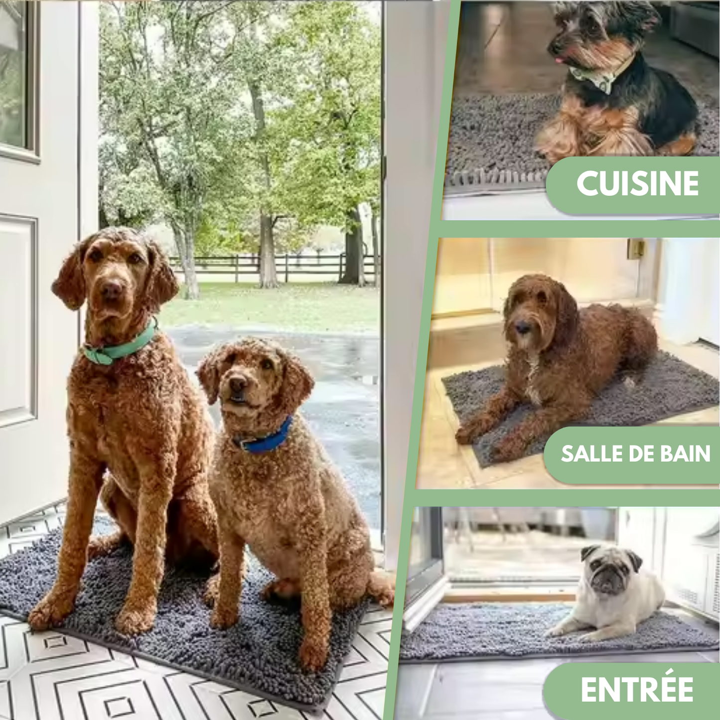 Tapis ultra absorbant - pattes d'animaux