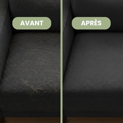 Gant Anti-Poils pour Chien