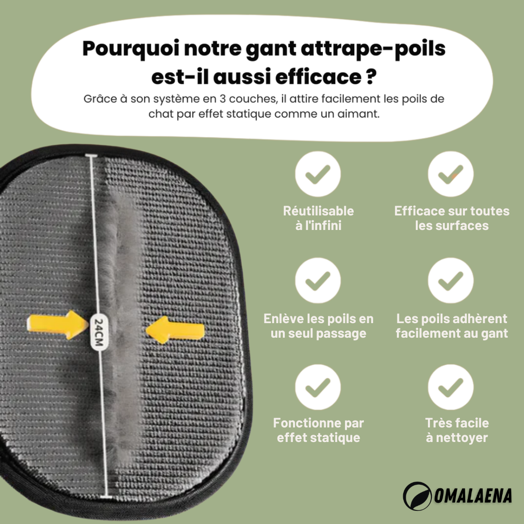 Gant Anti-Poils Réutilisable & Écologique