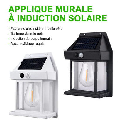 EcoLumen - Lampe Solaire d'Extérieur
