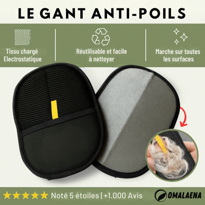 Gant Anti-Poils pour Chien
