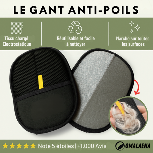 Gant Anti-Poils pour Chien